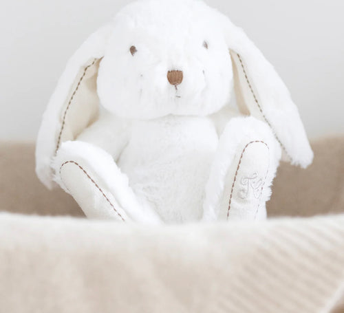 Peluche