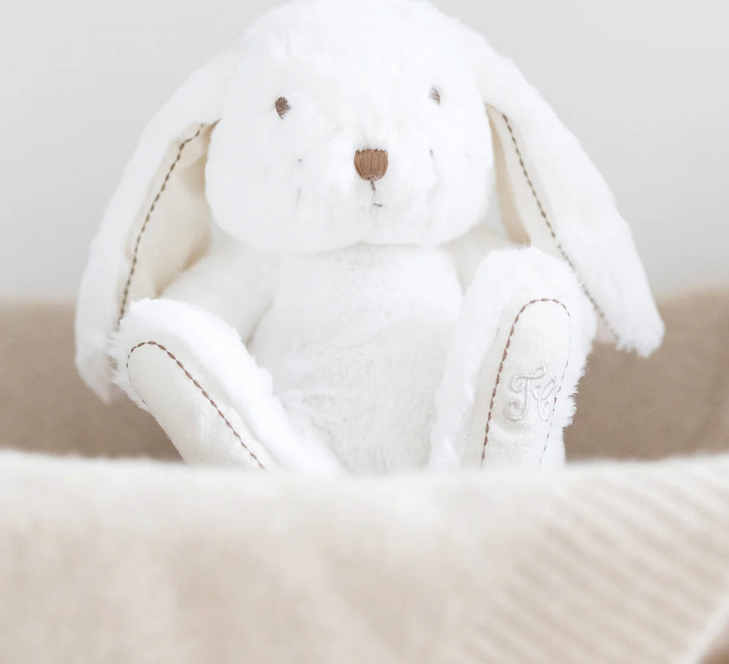 Peluche
