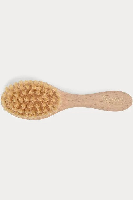 Bonpoint brosse n31