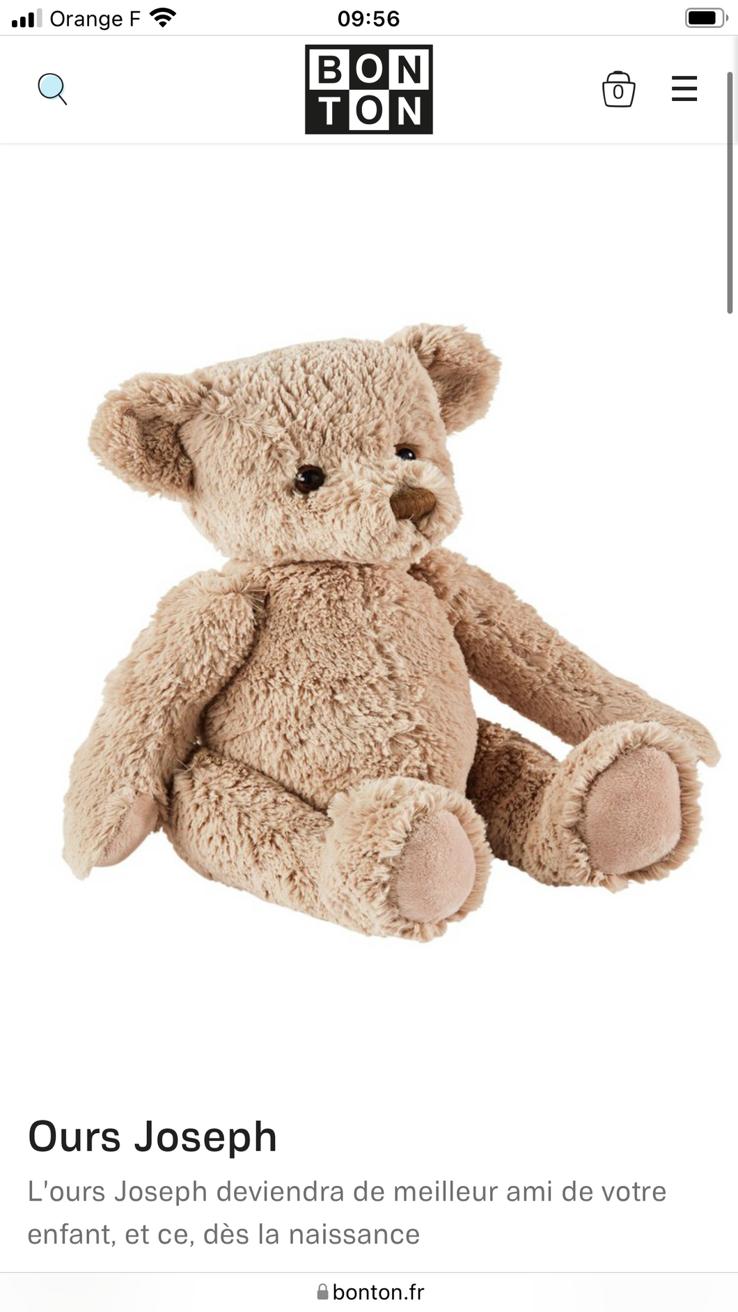 Bonton ours
